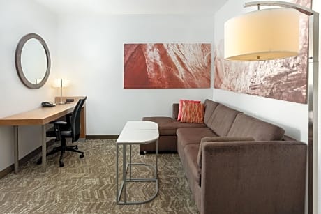 Suite, 1 King Bed with Sofa bed (1 King Bed and 1 Double Sofa Bed)
