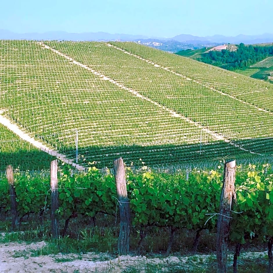 Cascina Valtignosa Camere Con Vigna