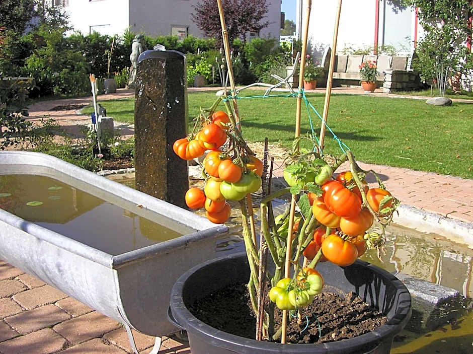 Arthotel Ana Panorama