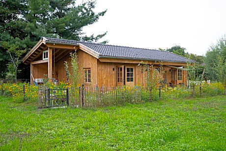 Apartment with Garden View
