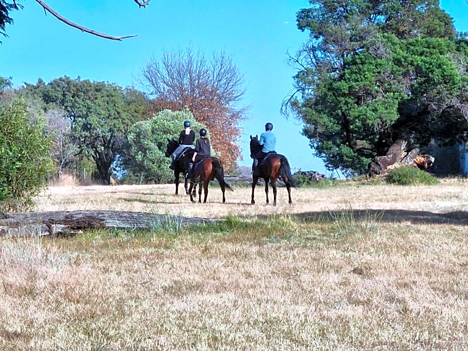 Villa Sardinia Guest House