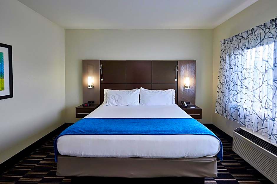 Holiday Inn Express & Suites Birmingham South - Pelham By IHG