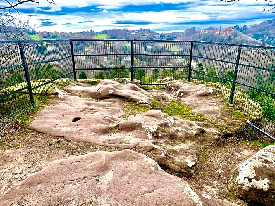 La Dependance de la Villa des Oiseaux - La Petite Pierre