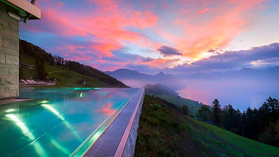 Hotel Villa Honegg