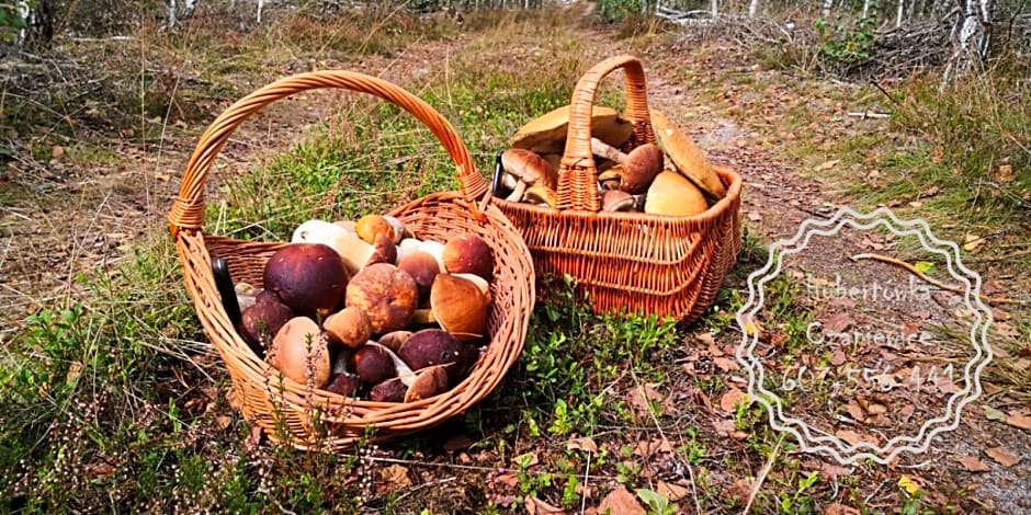 Hubertówka Czapiewice