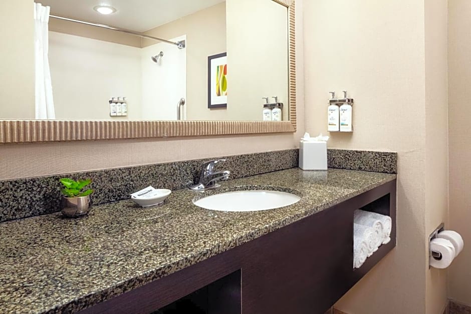 Holiday Inn Phoenix/Chandler By IHG