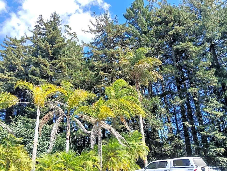 Woodlands Motel