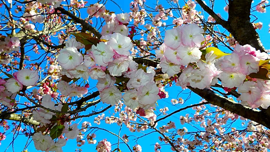 Bowral Road Art Gallery Bed and Breakfast