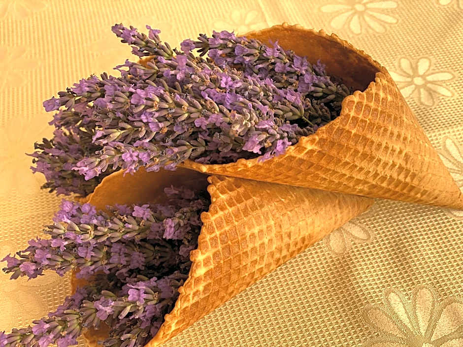 Hotel Plamena Palace