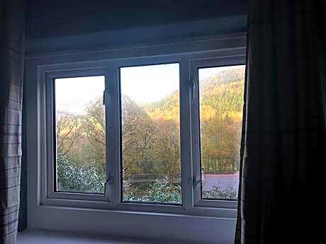 Bed in 8-Bed Dormitory Room