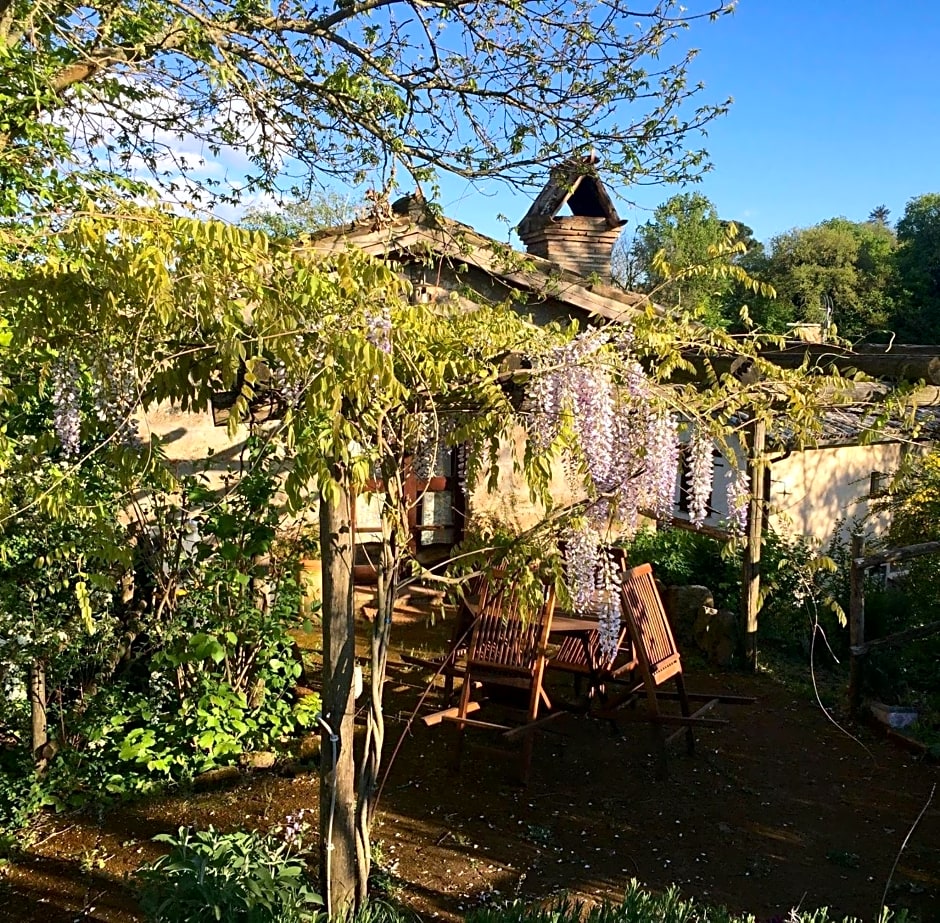 Agriturismo La Cervaiola Piccola dimora di Campagna