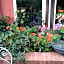 Gli Ulivi Bed & breakfast