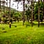 Pousada Caminhos da Natureza