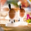 B&B Villaggio Regina
