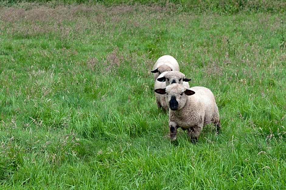 Tewinbury Farm Hotel