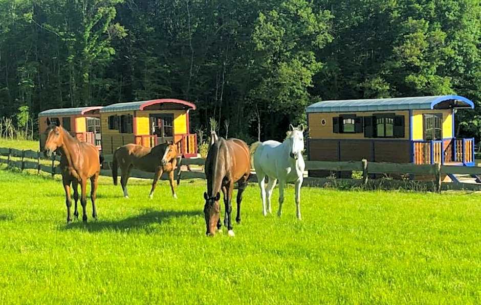 SAS Le Hameau des Grilles