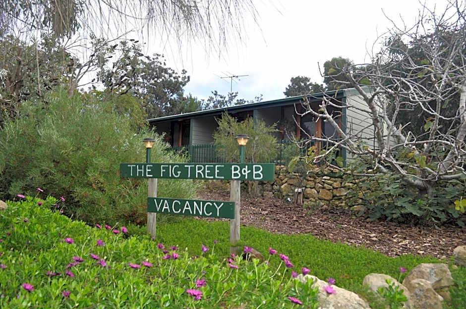 The Fig Tree B&B
