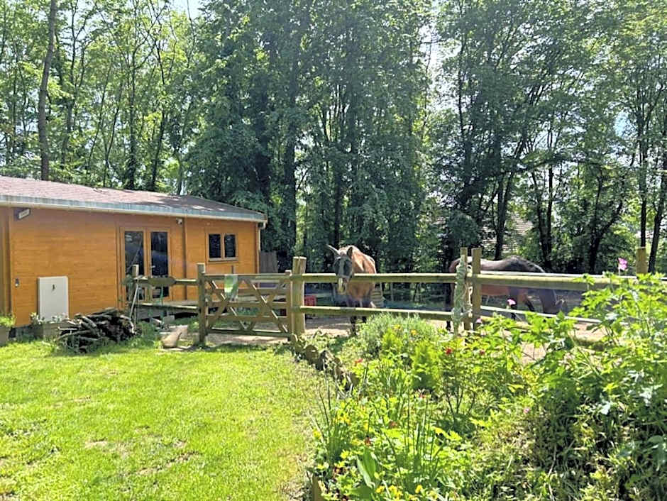 GITES du BOIS des PERRUCHES