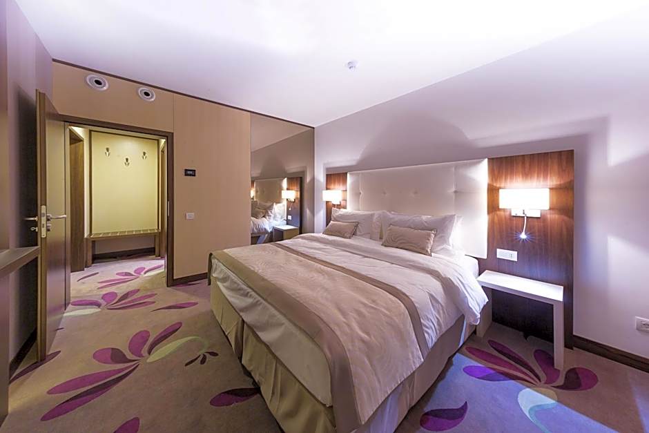 Hotel Transilvania