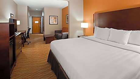 Suite-1 King Bed, Nonsmoking, Sofabed For One Person