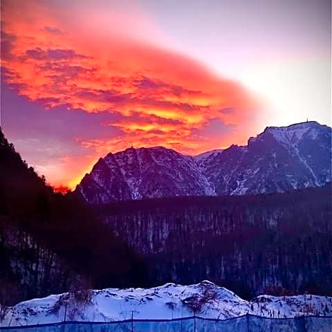 Restaurant Casa Nicolenco Azuga by Genco