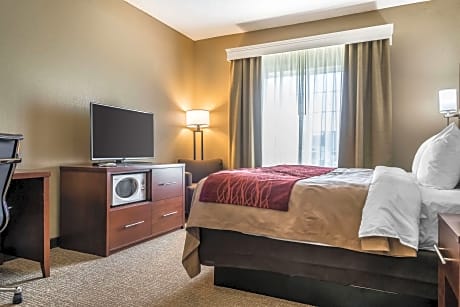 1 King Bed, Suite, Nonsmoking