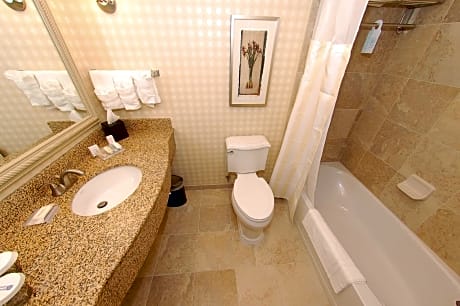 1 KING BED 1 BEDROOM SUITE WITH SOFABED LIVING AREA-COMP WIFI-BED W/ADJUST FIRM DIAL HI DEF.FLAT SCR