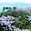Pure Hotel - Vacation STAY 44177v