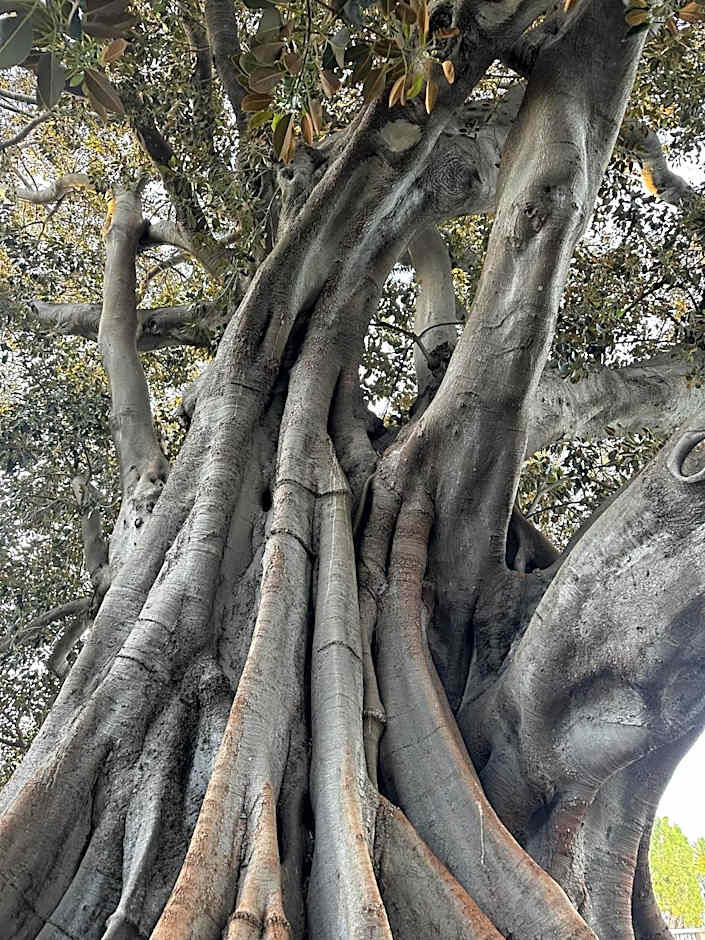 Palacete de La Alameda - Adults Only-