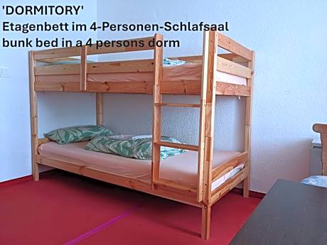 Bunk Bed in Mixed Dormitory Room