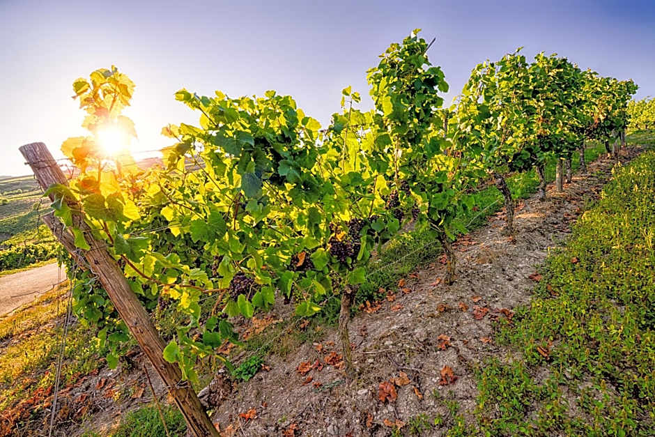 Hotel Weinberg-Schlößchen