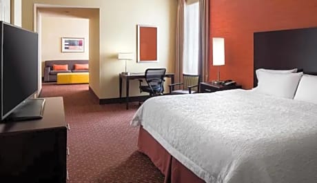 1 King Bed 1 Bedroom Suite Nonsmoking