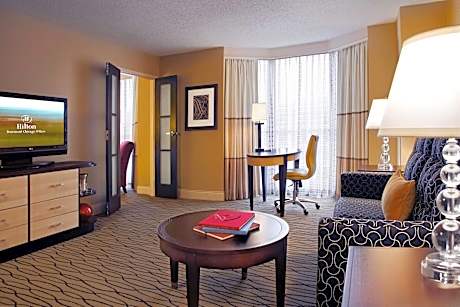 Junior King Suite with Seating Area