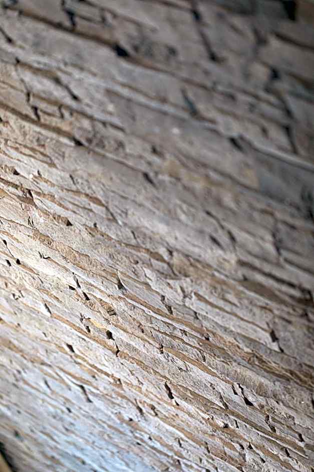 La Grenouille - Suite de luxe & Welness Privatif