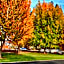 Shasta Pines Motel & Suites