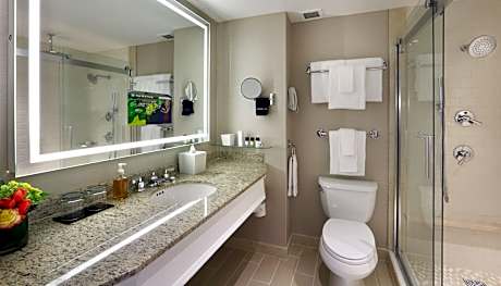 Premier Room, 1 King Bed