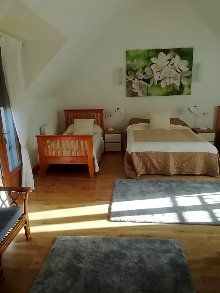 Bellevue Josselin 1a Chemin des Cruyere