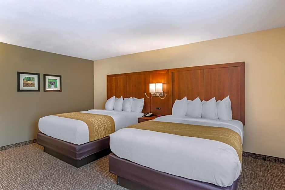 Comfort Inn Petersburg - Fort Lee