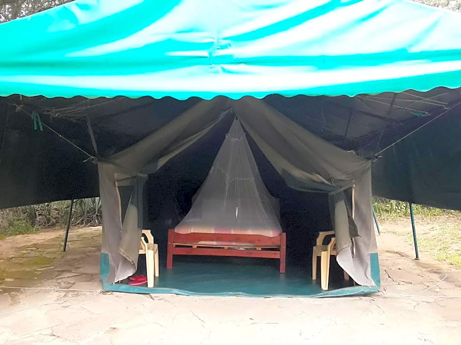 Cactus Eco Camp and Lodge