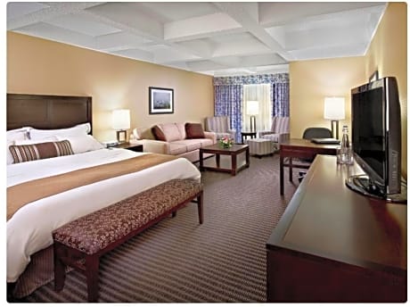 King Sleep Number Bed-Sofabed-Non Smoking