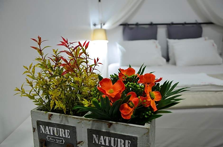 Nova Citrus Otel