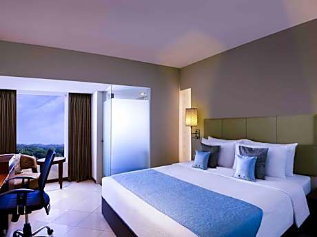 Deluxe Room with 1 double bed