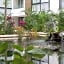Anah Suites