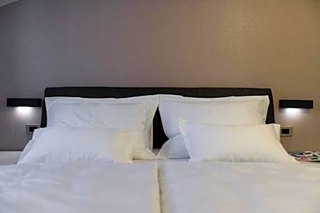 Double or Twin Room with Terrace