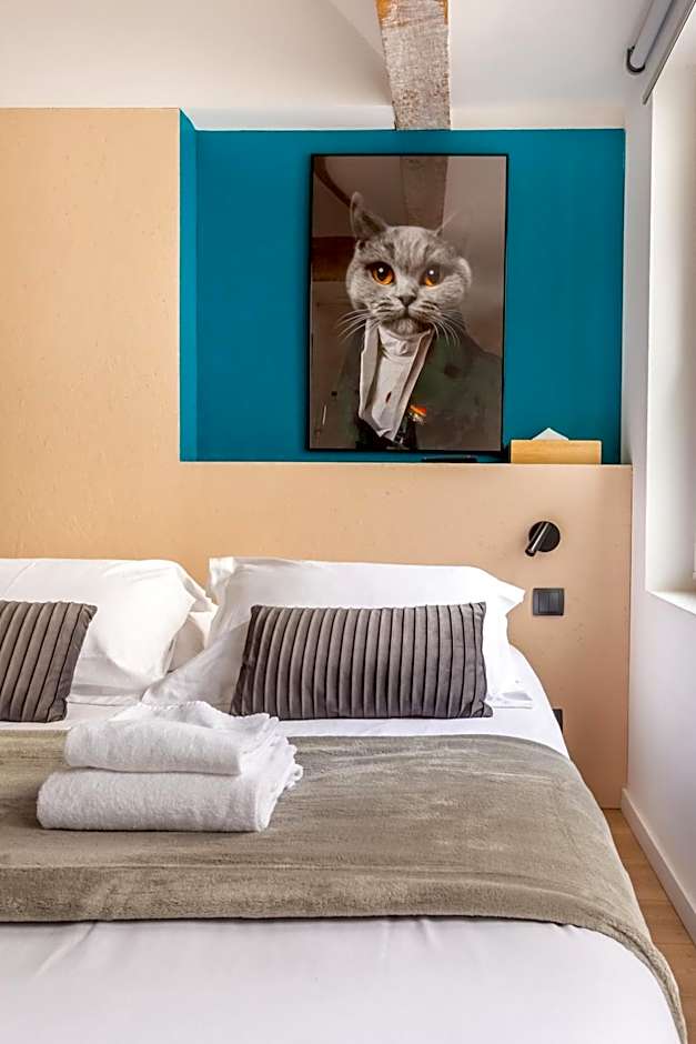 Au Chat Qui Dort Lille - Magasin