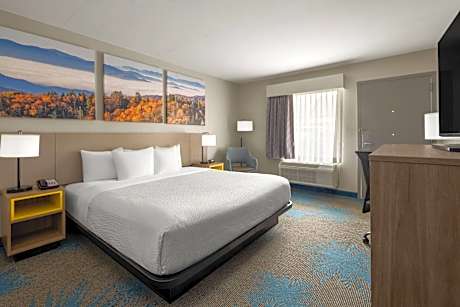 King Room - Disability Access/Non-Smoking