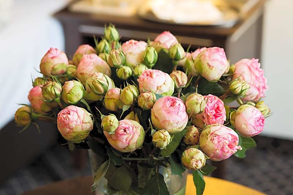 Hotel Selsky Dvur - Bohemian Village Courtyard