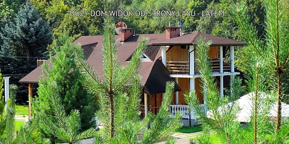 Bieszczady Sosnowa Aleja