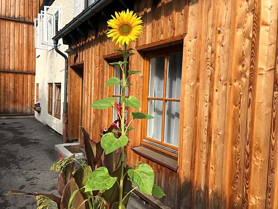 Fenix Hall Boutique Hotel Hallstatt