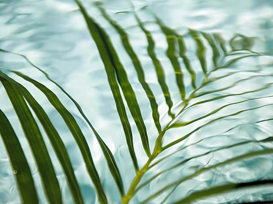 Fairmont Breakers Long Beach